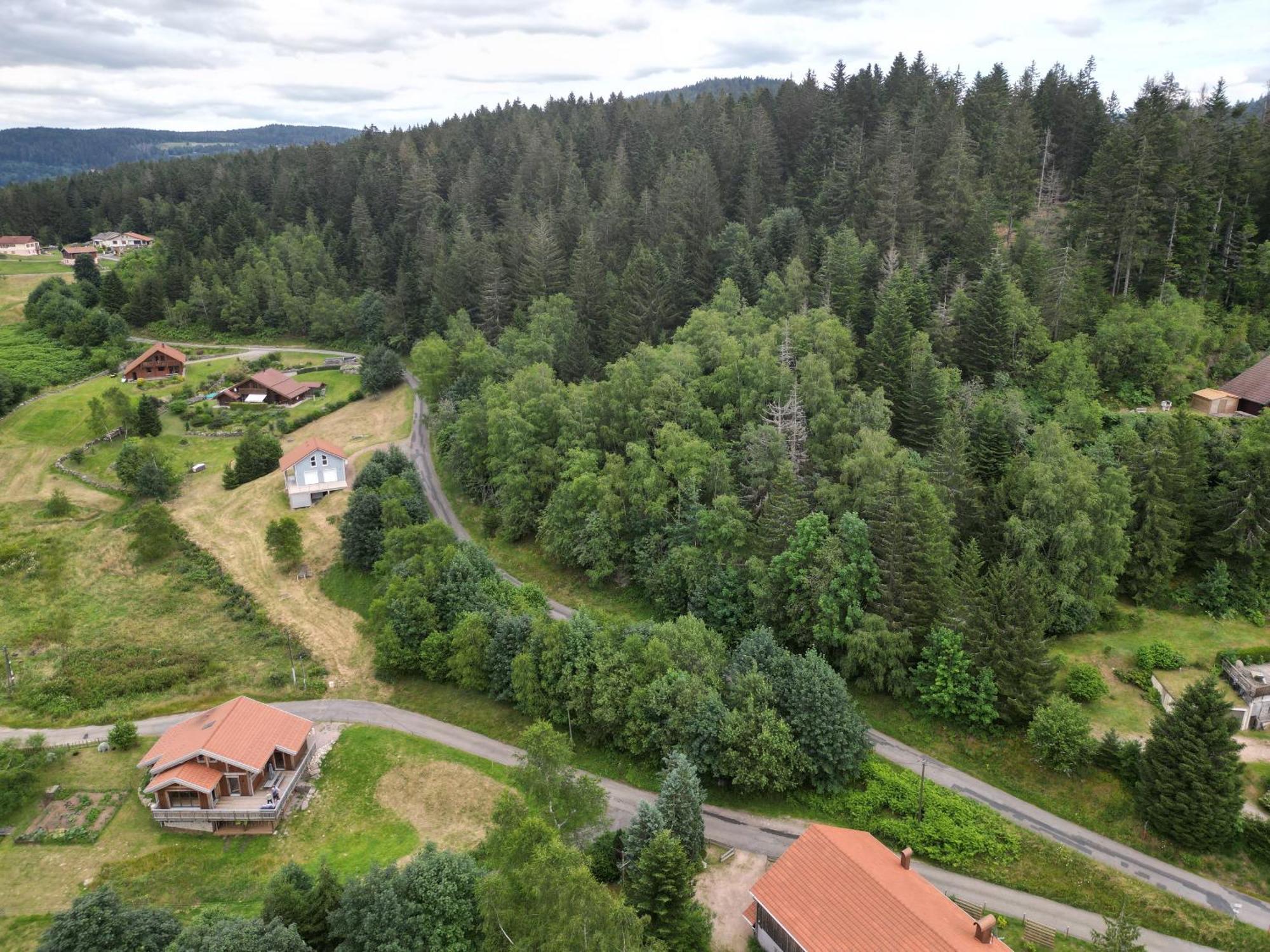 Chalet L'Appel De La Foret Gérardmer Exteriör bild